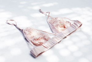 lace bra
