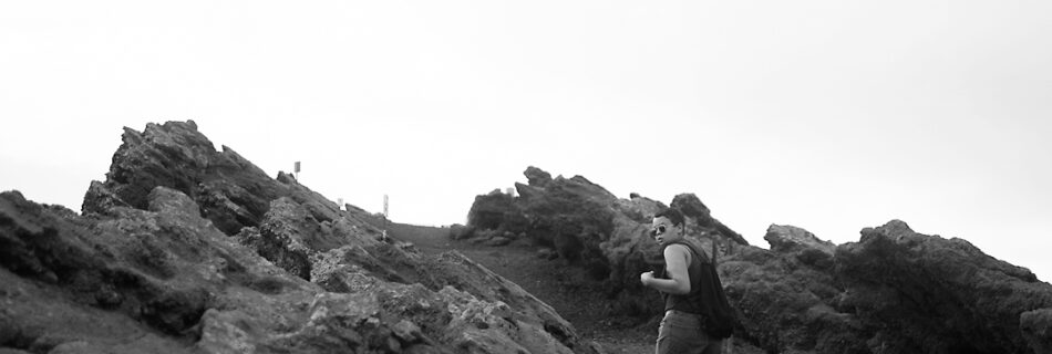 personal body plan, la palma, just like sushi, joyce meursing